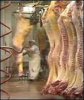 Obrázek - Hovädzie a konské mäso